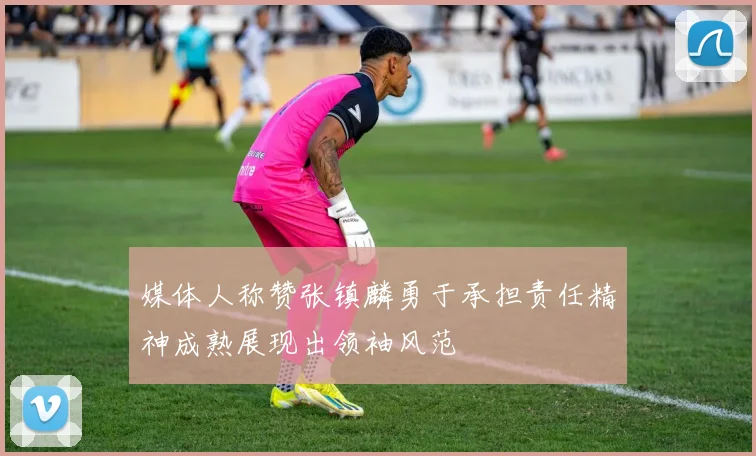 媒体人称赞张镇麟勇于承担责任精神成熟展现出领袖风范