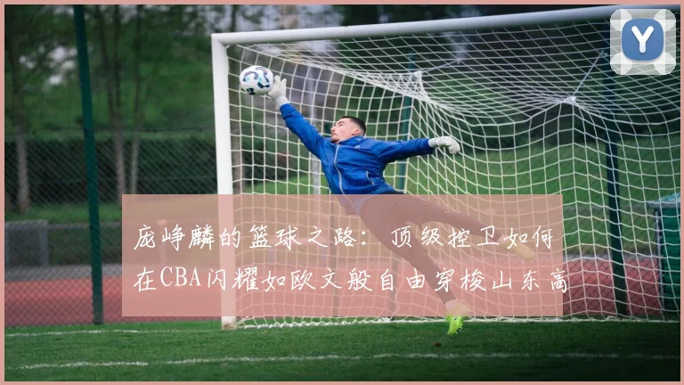 庞峥麟的篮球之路：顶级控卫如何在CBA闪耀如欧文般自由穿梭山东高速