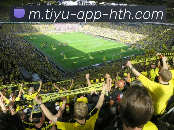 华体会体育APP 高清赛事图